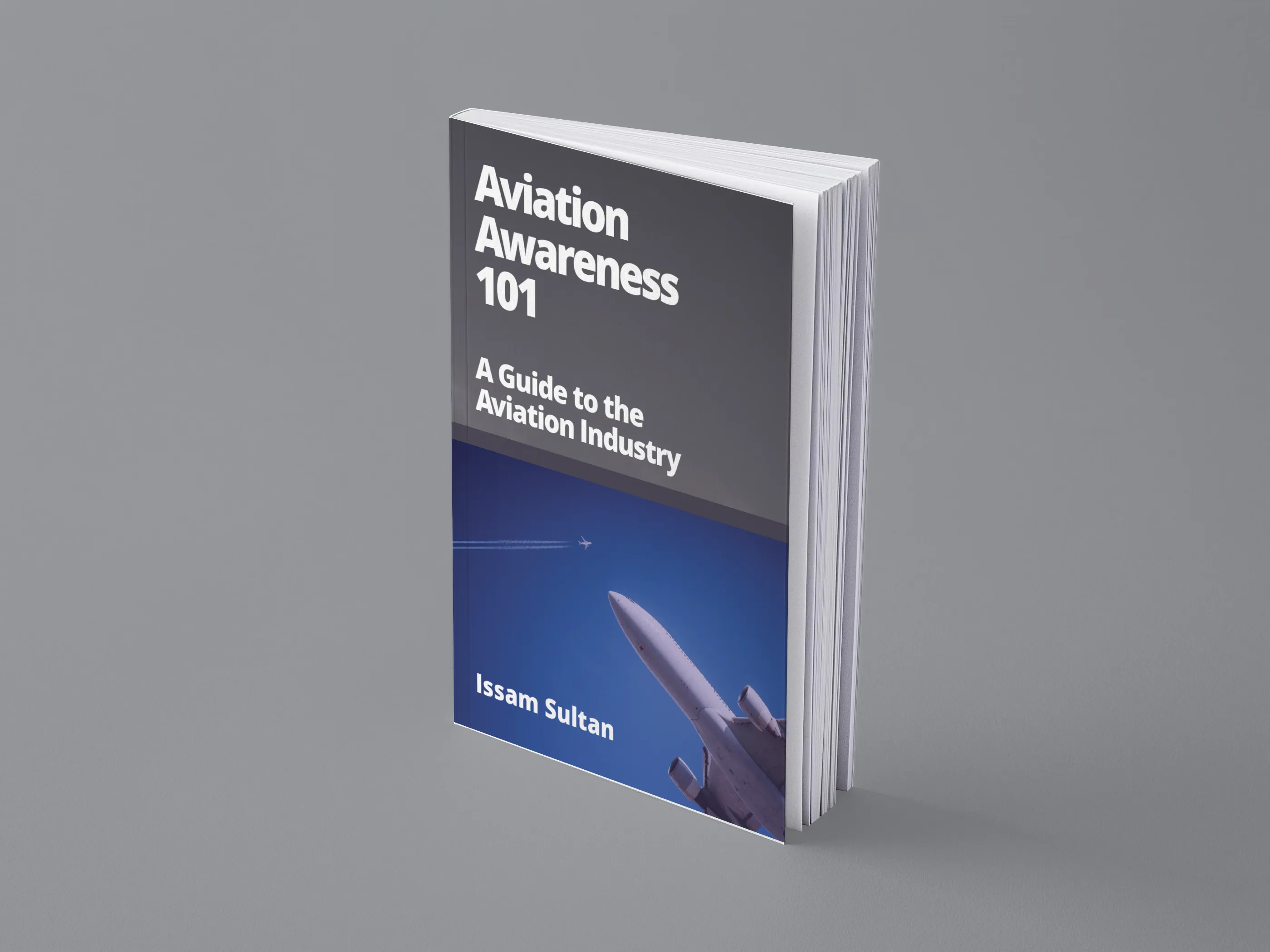 Aviation Awareness 101 paperback standing upright